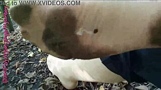 i flashed my nylon feet in the public forest walk