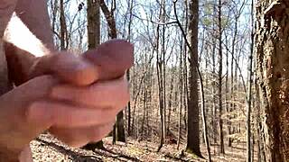 clitlicker662, what's new in update 34 with img 1341?