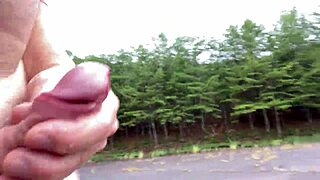 Clitlicker662's Fifth Update Featuring Image 1191 from September 15, 2024