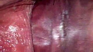 My 18-Year-Old Sister-in-Law Calls Me to Satisfy Her Urges!