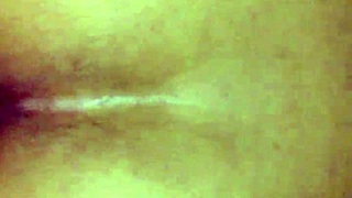 Tattooed Princess Photographed On Specific Date