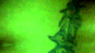 Tattooed Princess Photographed On Specific Date