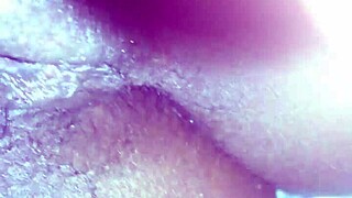 Hornyzee: A Suggestive Neutral Title
