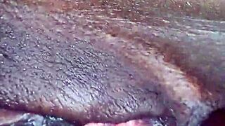 Hornyzee: A Suggestive Neutral Title