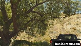 Hitchhiker turns out to be a stunning tranny with surprises