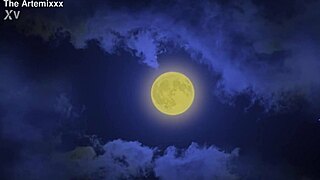 A wolf in sheeps pusy, lickin n ridin big black cock ruff