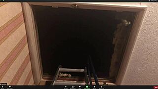 brunette gets her ass fucked hard