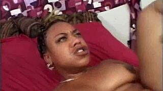 yo, ebony babe taking that big black cock hard