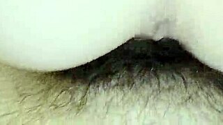 Pov blowjob cowgirl reverse creampie with pretty milf in quickie