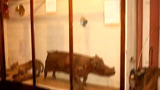 Footballer Fucks Mature Woman in African Park - Unbelievable!