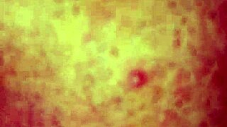 blonde babe shy love in cute lesbian domination with stockings and moaning