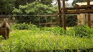 strange park meeting with huge cock filling mouth and tight ass