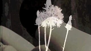 My Secret Life with Vintage Lesbians in Retro Scenes