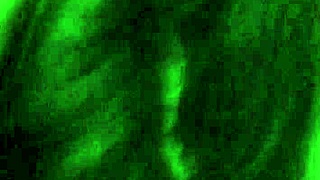 Attractive Woman Demonstrates Oral Techniques In Professional Setting