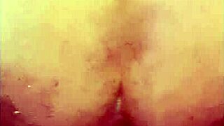 Xl Flint And Sleipnir Enjoyed Safe Play