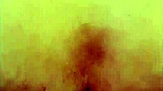 Xl Flint And Sleipnir Enjoyed Safe Play