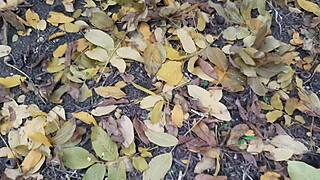 Autumn Sex in a Hut Turns Wild with Lesbian Illusion Girls!