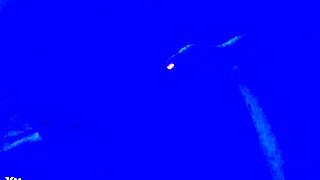 Blacklight Fetish with Feet, Toes, and Footjob