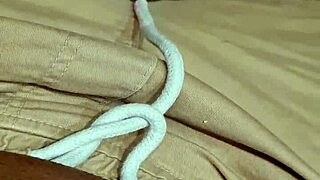 alineflavio update video