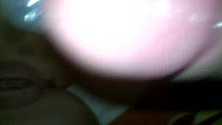 Chim ẹp i asiatisk solo show