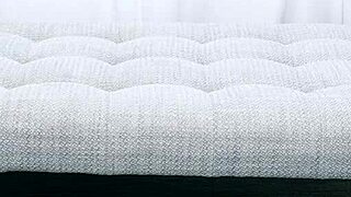 sweet and freaky alex kane