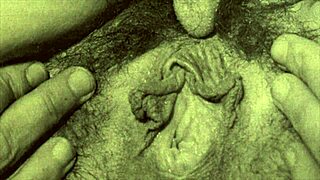 Vintage Lesbian Group Licking Pussy and Beaver in Antique Setting