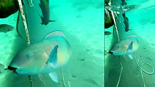 I seduce my skinny friend in the hotel room