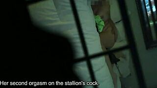 Step Mom's Private Time With Dildo Gets Caught