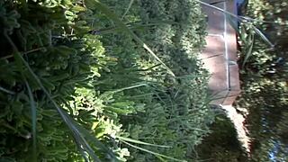 18 year old Tobi Pacific squirts all over in bed with anal finger and cumshot