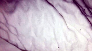 Natalie Takes It From Behind Bareback In Orlando Hotel From Random Stranger