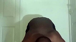 Lizard Exercises Look Different From Spider And Squid Exercises While Lizards Spiders And Squids Are All Still My Scorpio Zodiac Animals 1