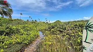 Aventura na Praia de Nudismo Ends in Wild Orgy with Joao o Safado, Lunna Geek, and Pitbull Porn