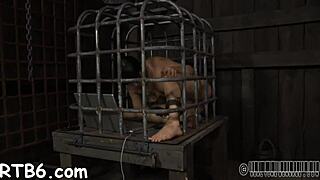 Wow, Watch This Bound Couple Get Wild with Caning and Sucking! How Intense?