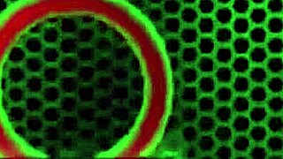 busty brunette jelena jensen rubs her wet clit in lingerie.