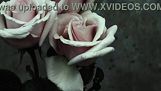 mcr i dont love you sub espa�ol version