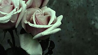 mcr i dont love you sub espa�ol version