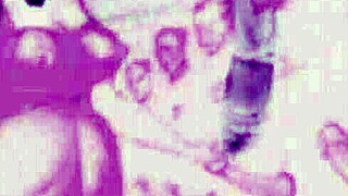 Vintage antique drawings