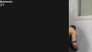 Training In Action Complete Collection Bundle Iii Buy 3 Get 1 Free