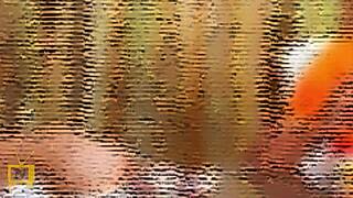 At The Nudist Beach With My Family