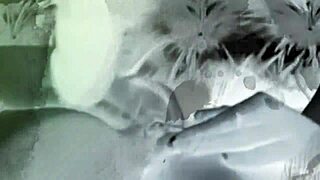 Soft white teen girl worships big black cock in interracial scene