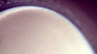 Sweet girlfriend enjoys full experience with monster cock