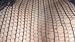 le tiran semen en la cara - cumshot facial - anal - sexo anal - verdadero anal - le rompen el co�o y le dan la leche en la cara - creampie