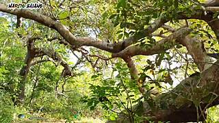 Vivendo Com Adão E Eva No Paraíso Da Putaria Anal Intenso