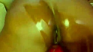 nigarchrist update with petal on jun 08 2025