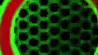 Curvaceous Lesbians Sofia Rose Orgasms in Lingerie, Showing Big Tits and Ass During Assfucking