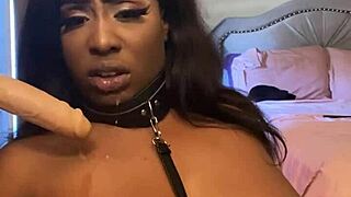 Lexo Butterfly Sucks That Cock Off The Wall