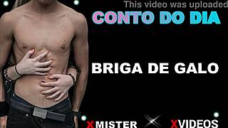 Briga De Galo Brasileiro Entre Amadores, Luta Intensa E Competitiva