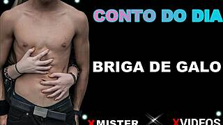 Briga De Galo Brasileiro Entre Amadores, Luta Intensa E Competitiva