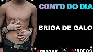 Briga De Galo Brasileiro Entre Amadores, Luta Intensa E Competitiva