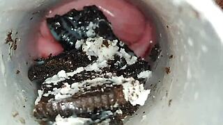 Pussy play with oreo